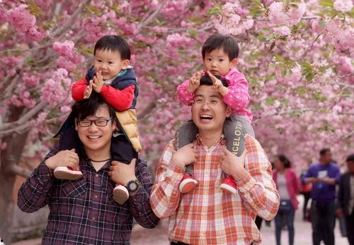 Happy Family USA 美国幸福家庭,Happy Family USA的温馨故事与启示