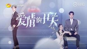 爱情开关,解锁情感密码，探寻心灵契合之旅